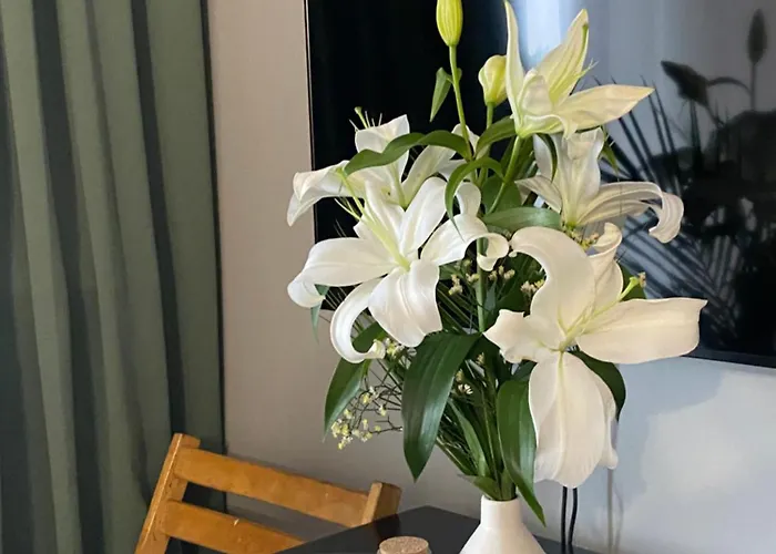 Yellow Stone * 슈체친